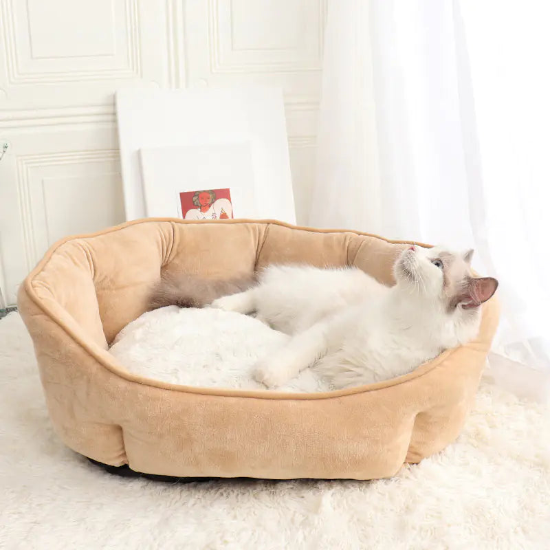 Cozy Shell Pet Bed for Cats & Dogs
