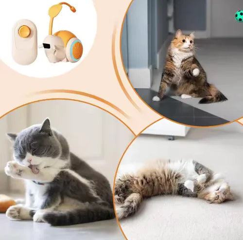 Feather Frenzy Cat Teaser