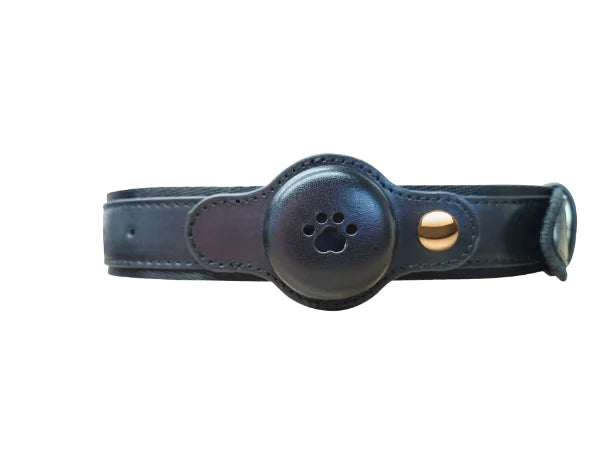 MODUS GPS Dog Tracker with Apple Authorized Locator