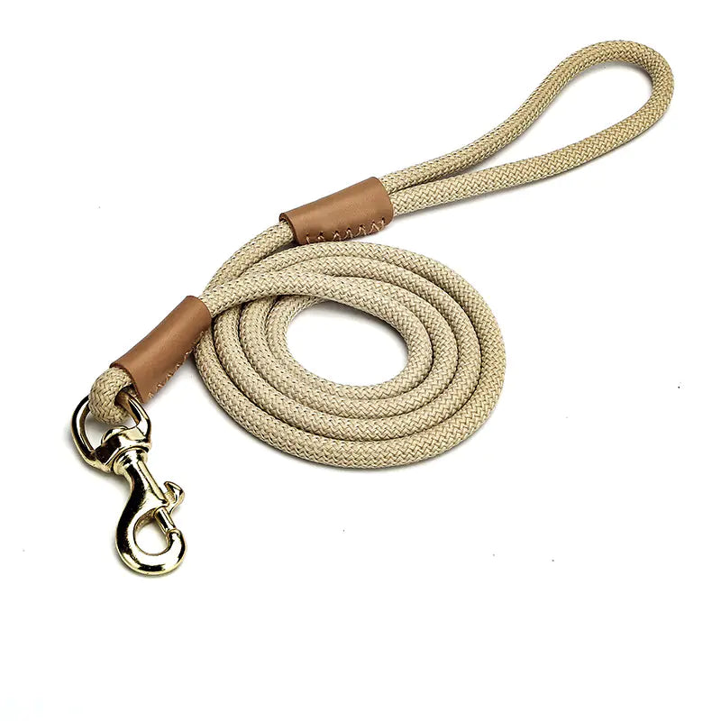 Lightweight Dog Leash for Walking Puppies