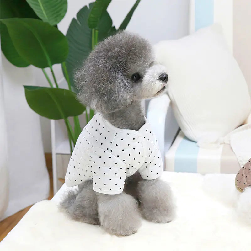 Cozy Matcha Pet Attire