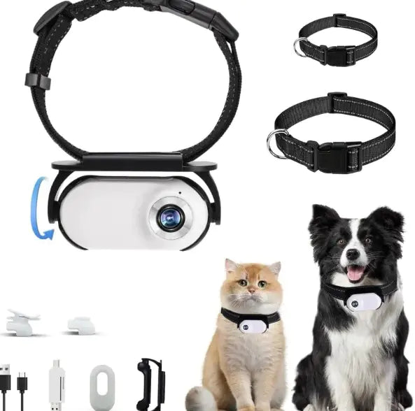 Portable HD Pet Activity Recorder