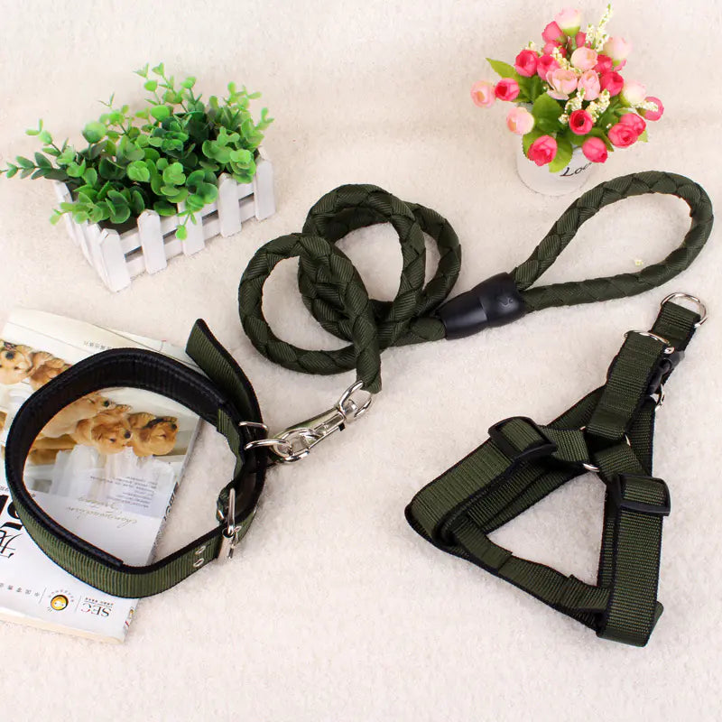 Canine Comfort Trio: Leash, Harness, Collar