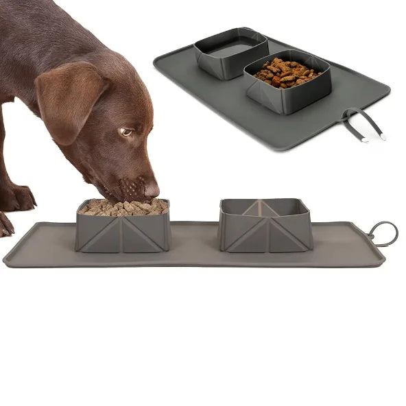 Compact Dual Pet Travel Bowl
