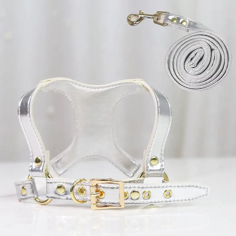 PawControl Small & Medium Dog Leash