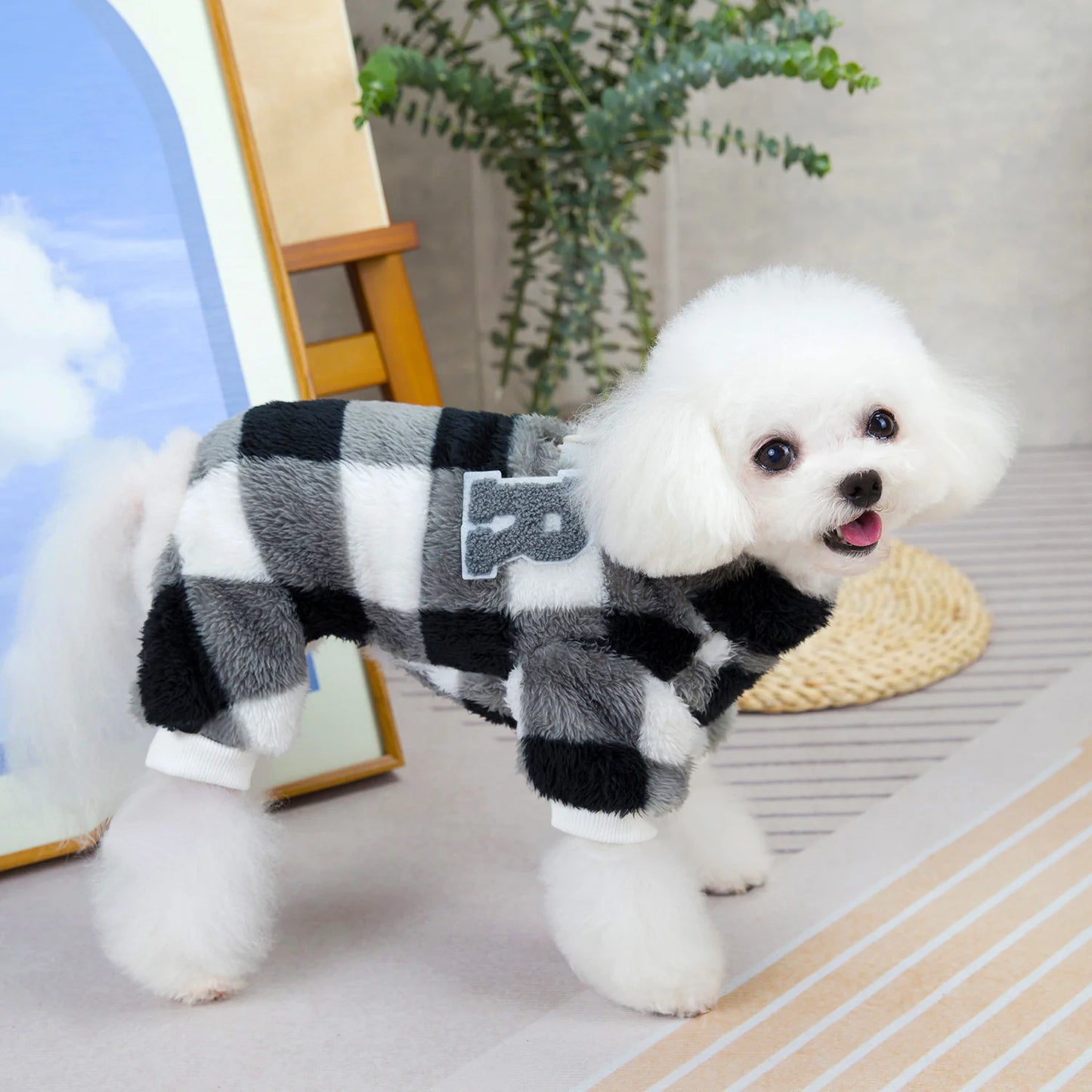 Velvet Dog Jacket