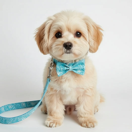 Personalized Dog Collar and Bow Set with Leash