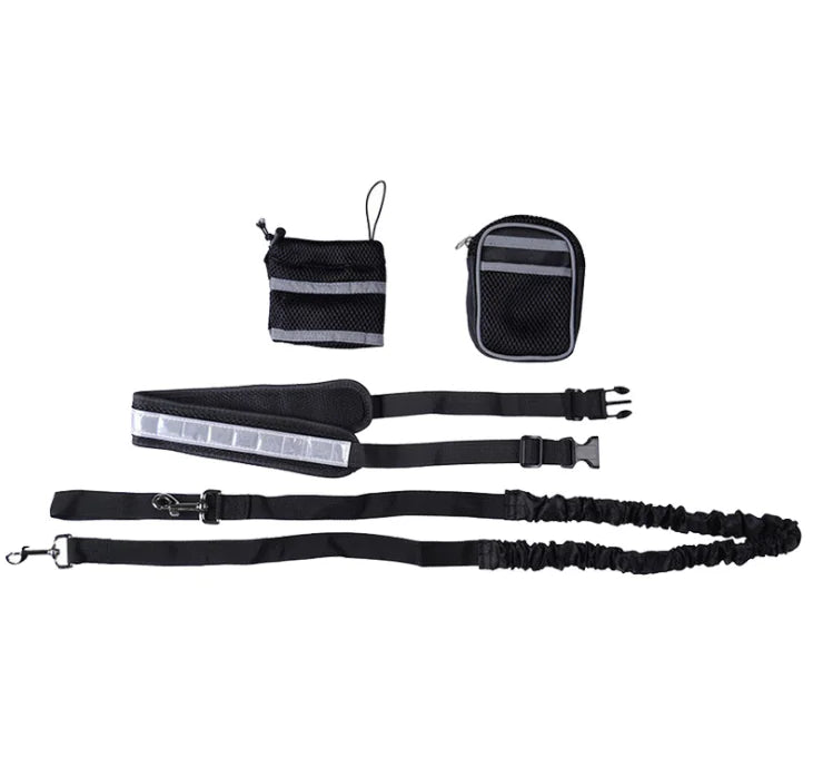 Explorer Dog Walking Gear with Reflective Straps