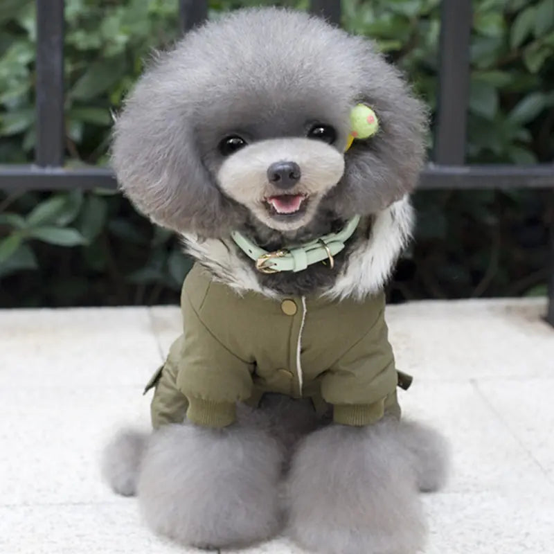 Tactical Cotton Canine Jacket for Small Dogs
