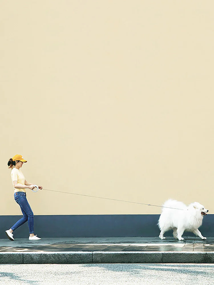 ExtendFlex Retractable Dog Leash