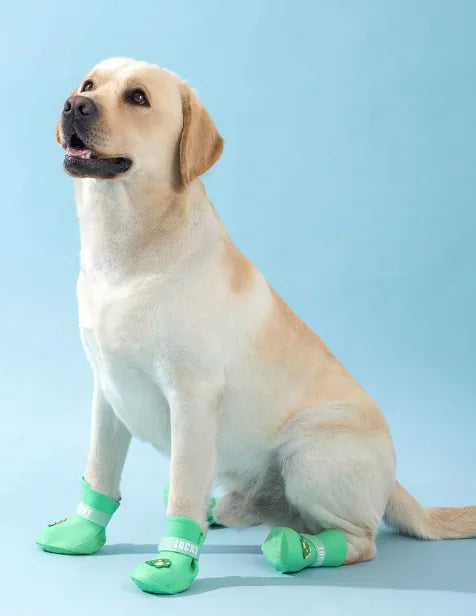 ToughPaw Dog Booties