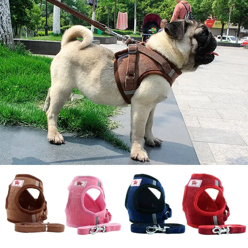 Dog Harness with Chain Attachment