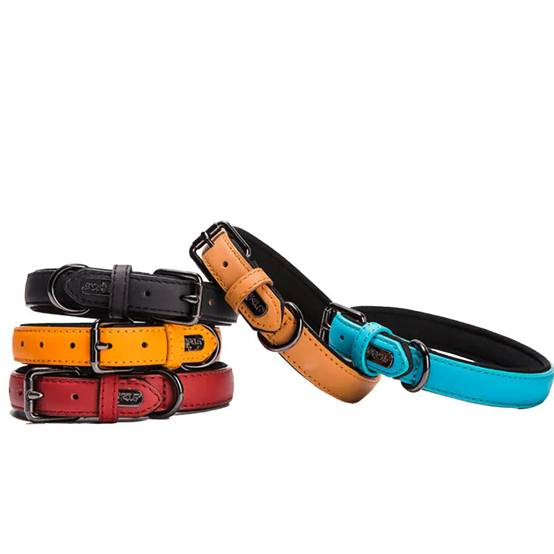 LuxStyle Waterproof Leather Small Dog Collar