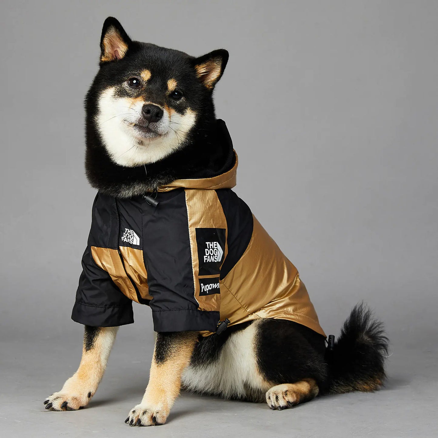 Big Dog Waterproof Jacket