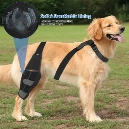 Canine Comfort Knee Pads: Protective Dog Gear
