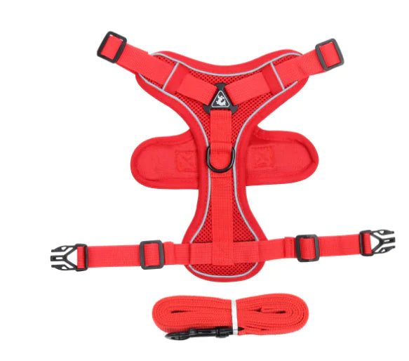 Cat Harness and Leash with Reflective Design (Single)
