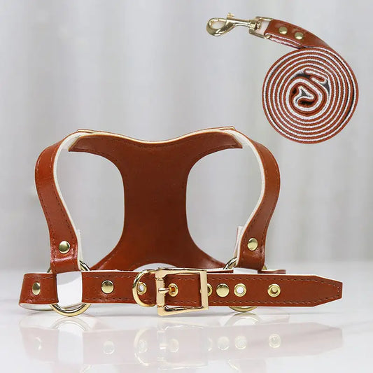 PawControl Small & Medium Dog Leash