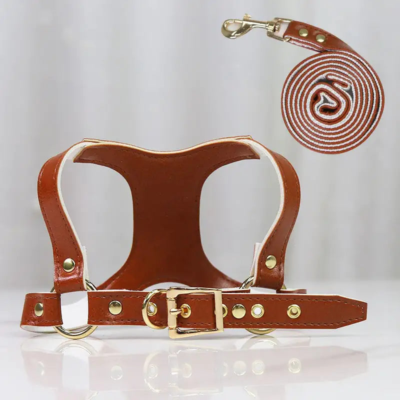 PawControl Small & Medium Dog Leash