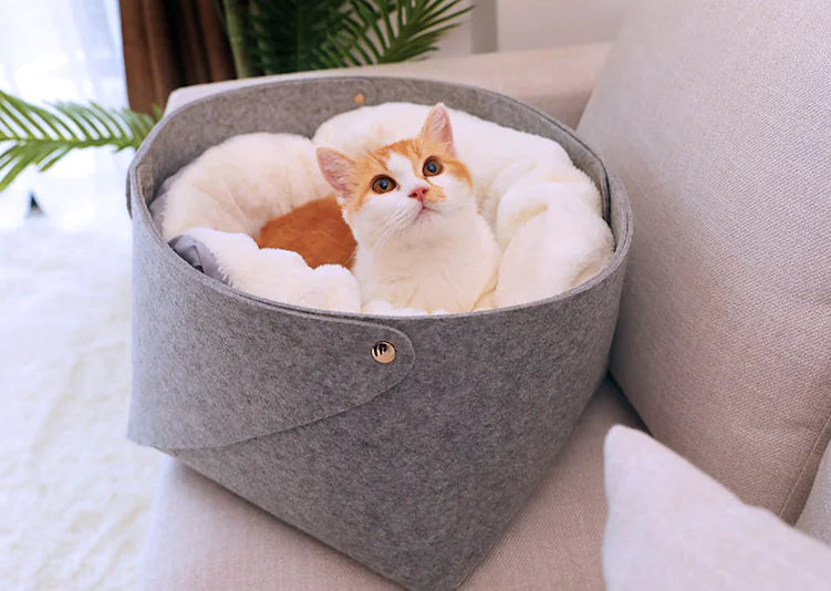 Cozy Pet Bed for Cats and Small Dogs in Winter Design