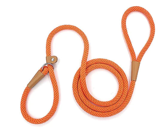 Leash - 6ft Long Lead for Professional Obedience"
