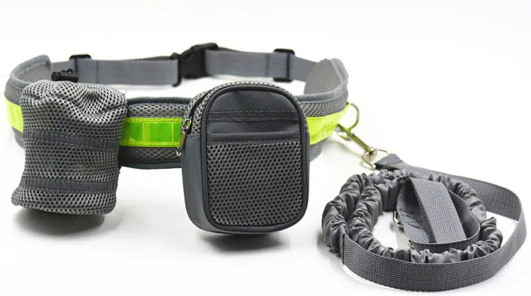 Explorer Dog Walking Gear with Reflective Straps