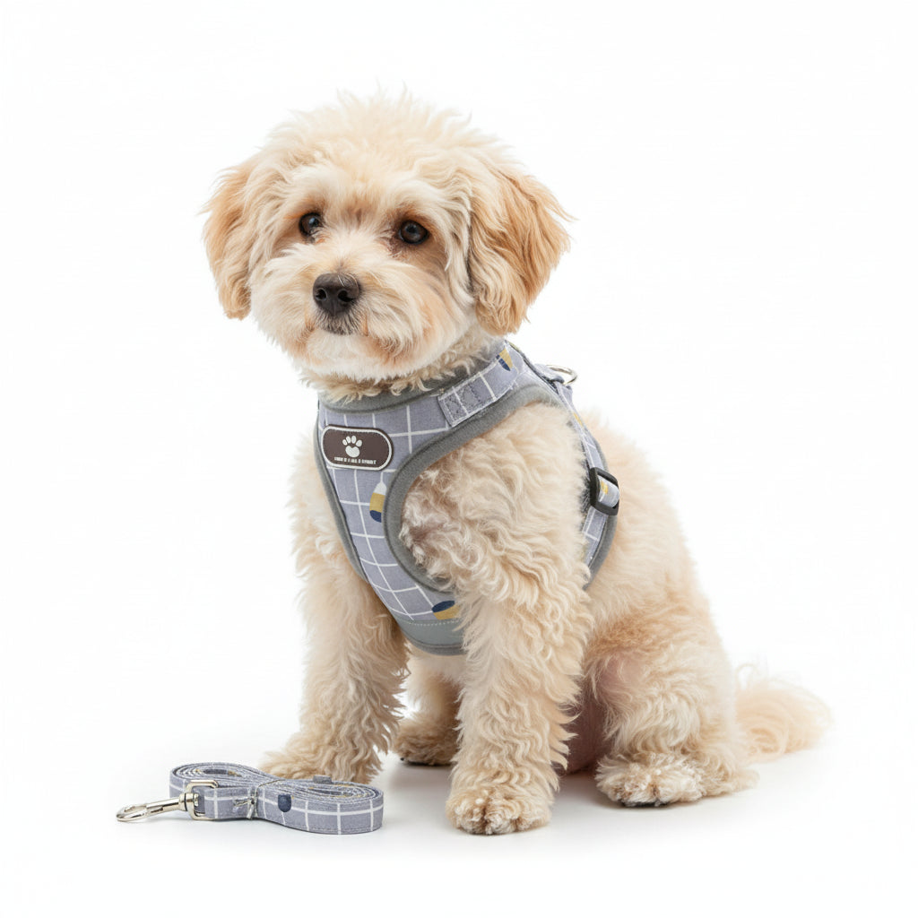 Petite Pet Harness Leash