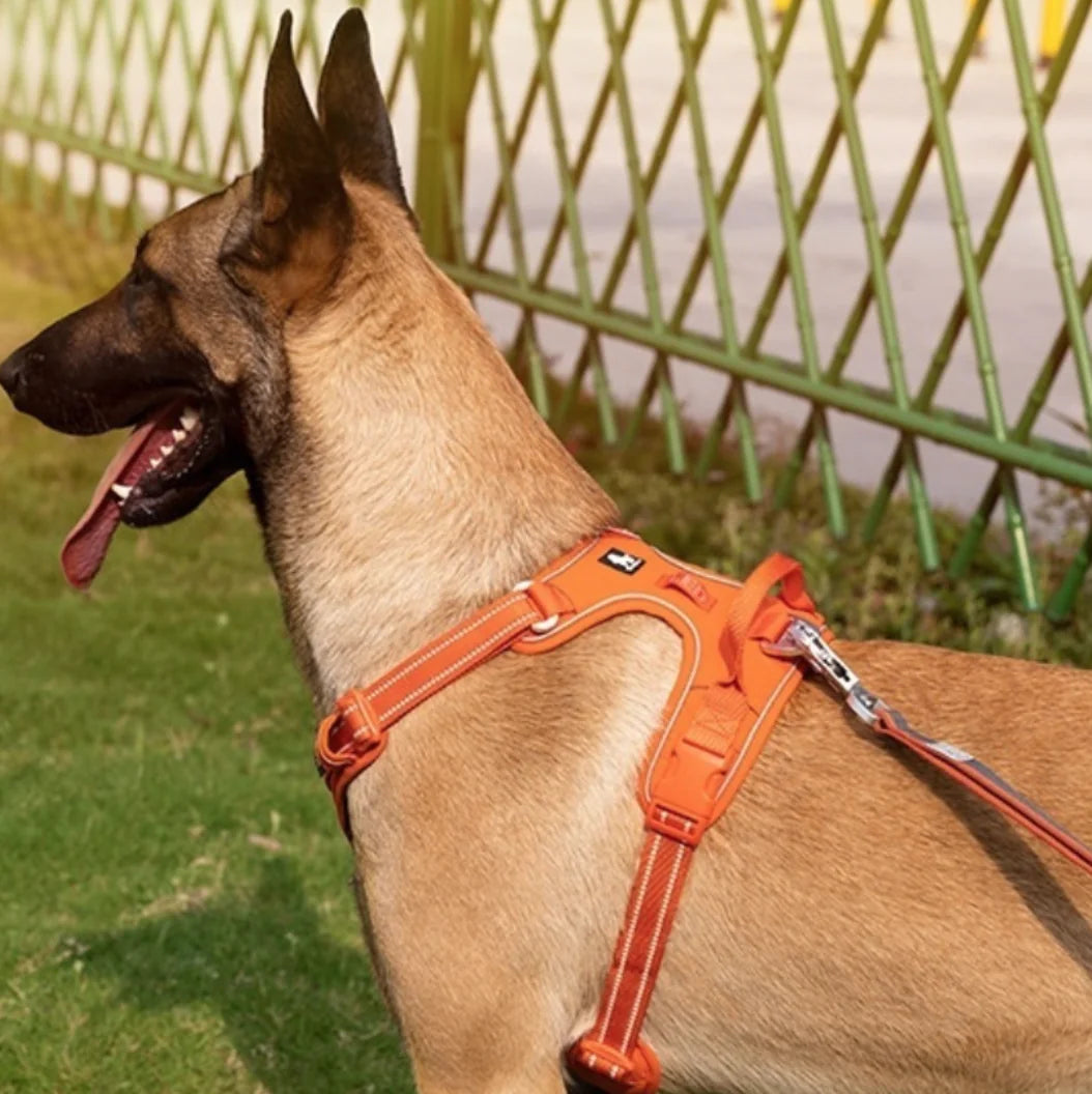 Reflective Dog Harness with Leash