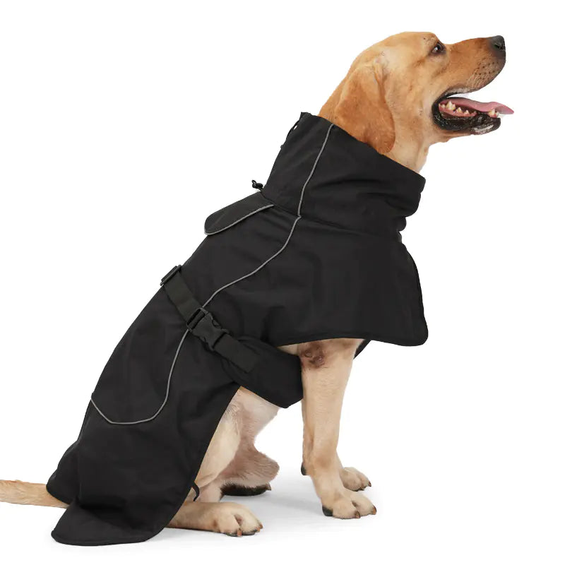 Winter Chic Apparel for Dogs