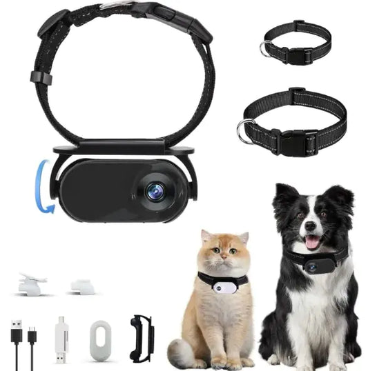Portable HD Pet Activity Recorder