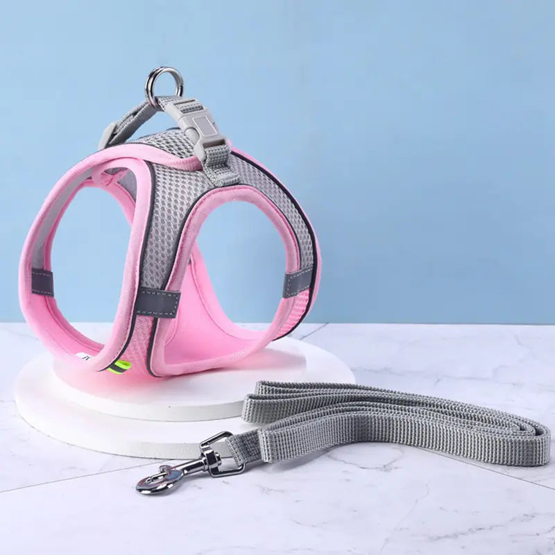 Hi-Vis Pet Safety Harness Set