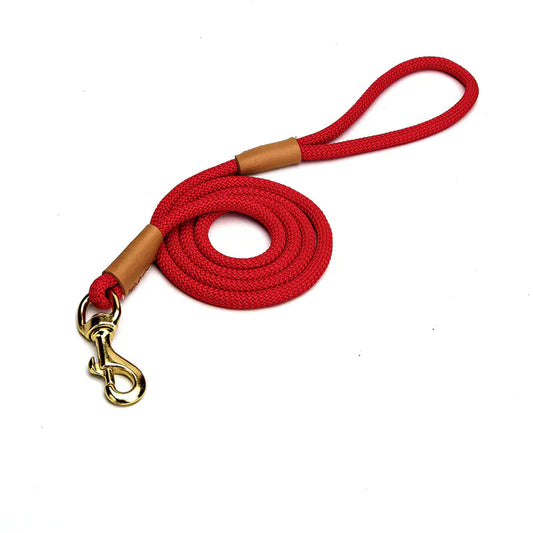 Lightweight Dog Leash for Walking Puppies