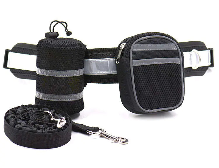 Explorer Dog Walking Gear with Reflective Straps