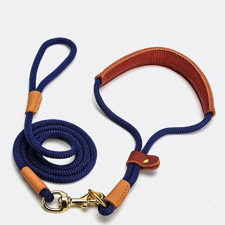 Lightweight Dog Leash for Walking Puppies