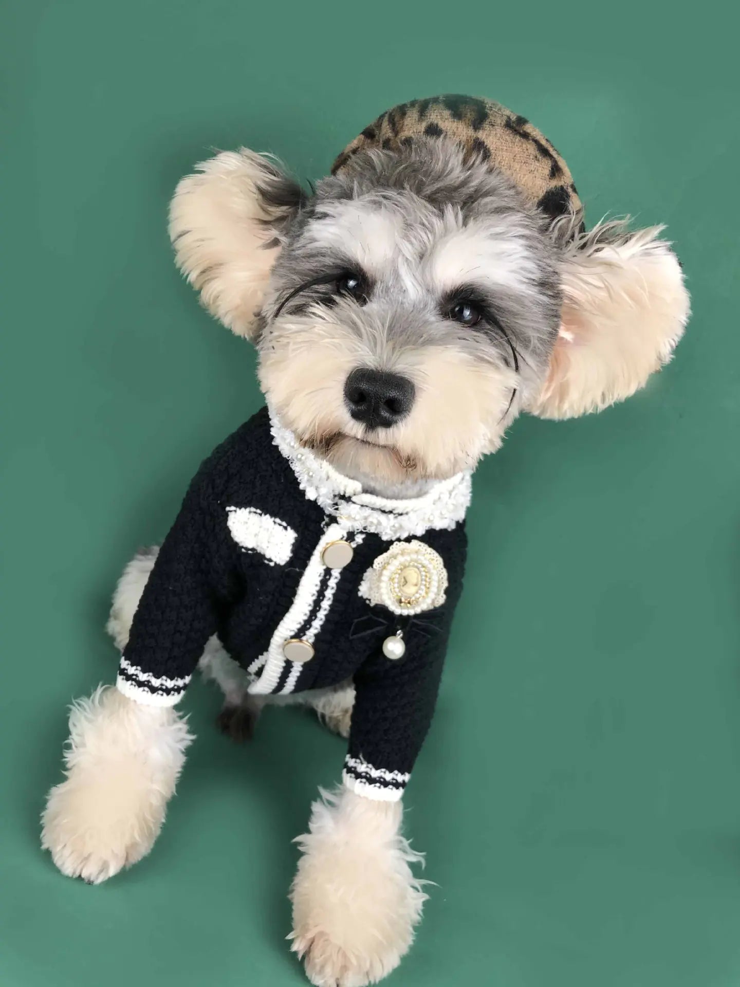 Breezy Pup Spring Cardigan