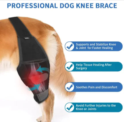 Canine Comfort Knee Pads: Protective Dog Gear