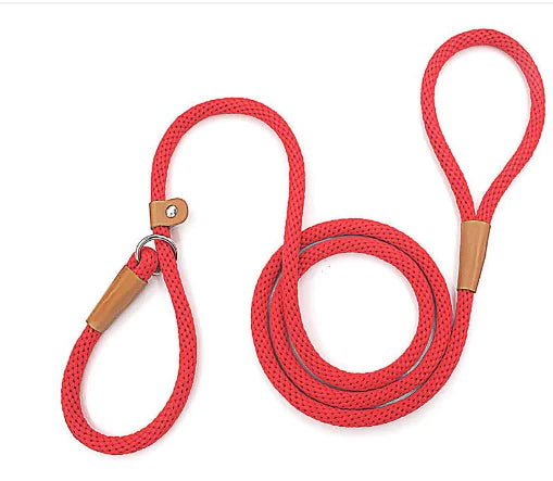 Leash - 6ft Long Lead for Professional Obedience"