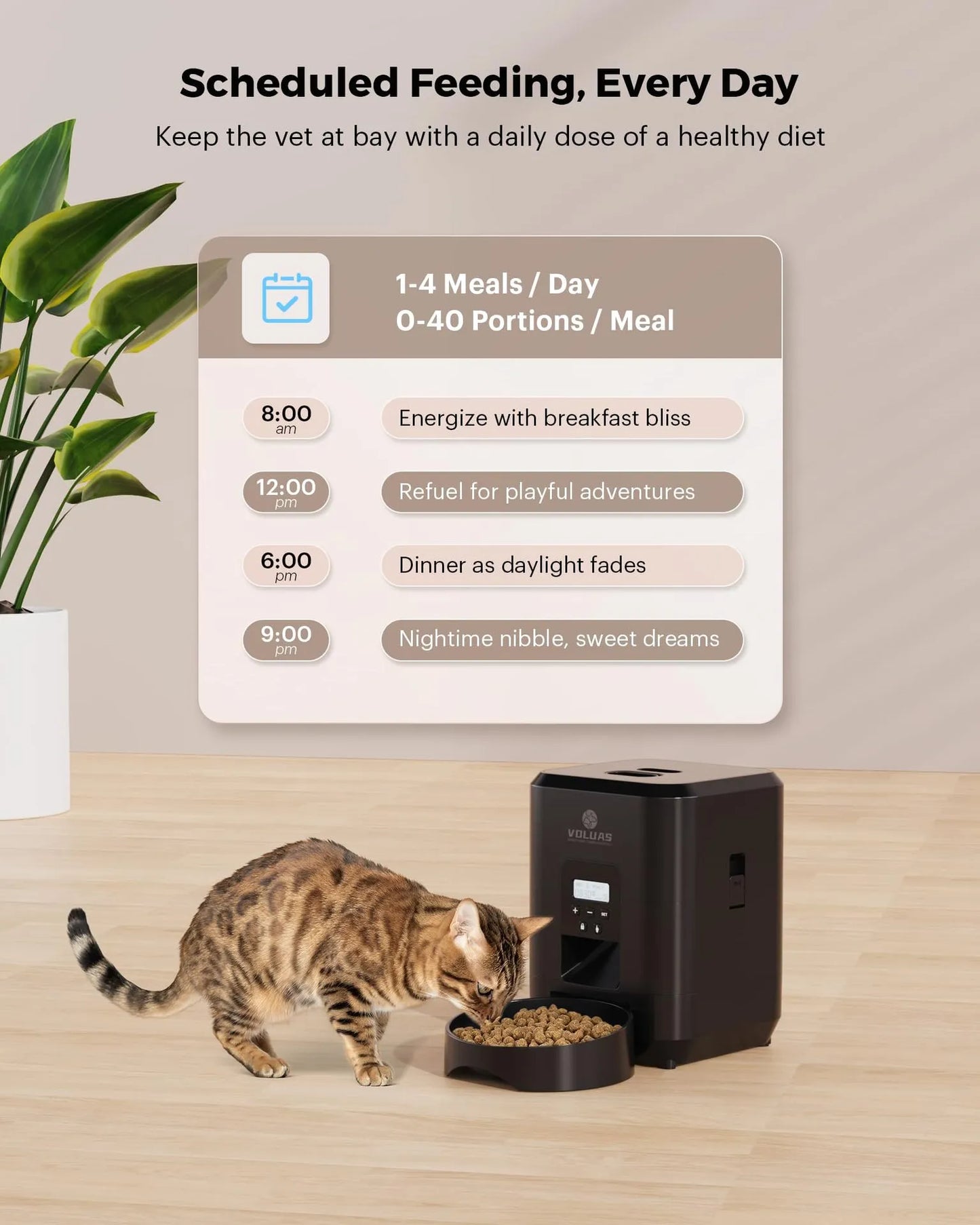 🐾 Automatic Pet Feeder — Convenient, Reliable Feeding for Cats