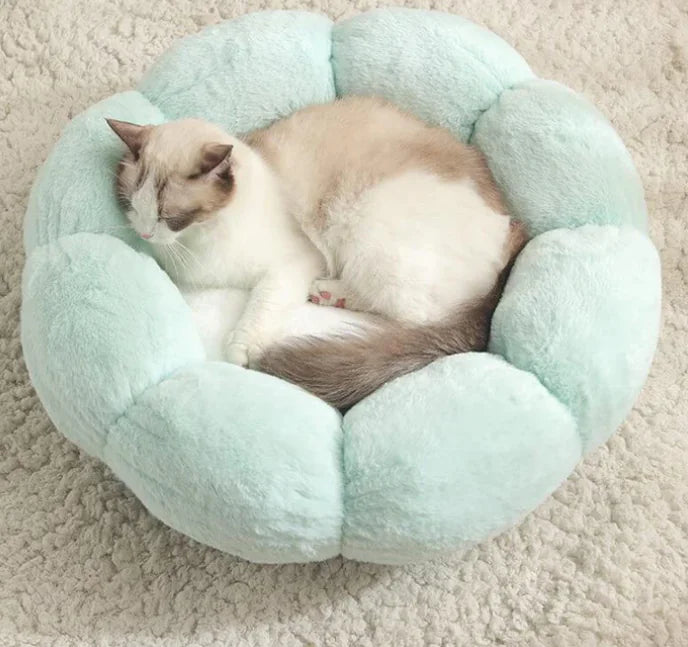 Cozy Haven Donut Pet Bed