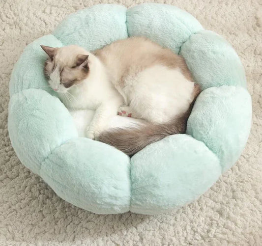 Cozy Haven Donut Pet Bed