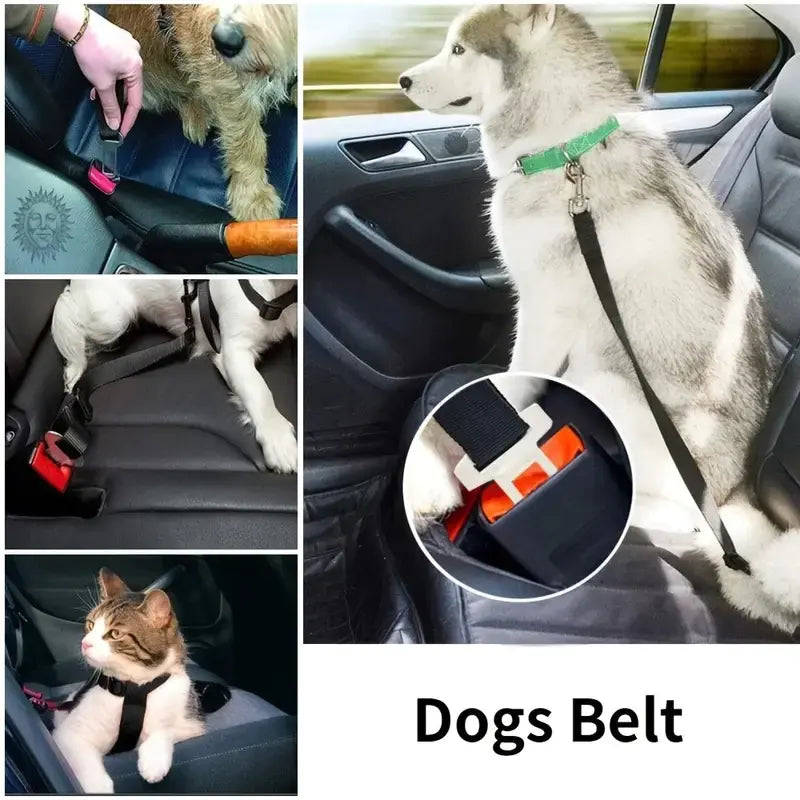 Retractable Adjustable Car Pet Seat Belt for Safety