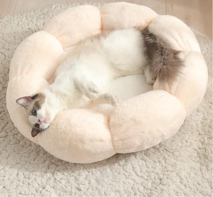 Cozy Haven Donut Pet Bed