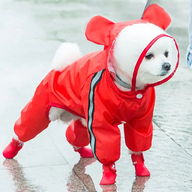 Autumn Pup Rainwear