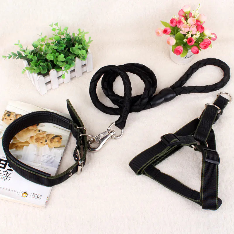 Canine Comfort Trio: Leash, Harness, Collar