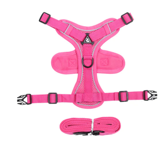 Cat Harness and Leash with Reflective Design (Single)