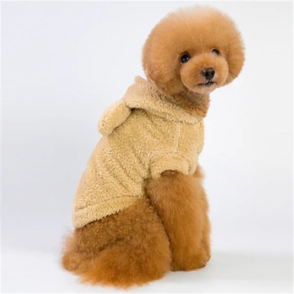 Dog Apparel and Accessories