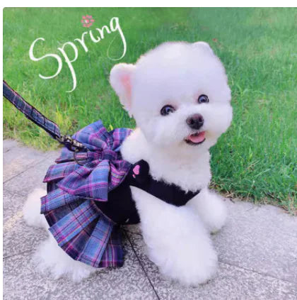 K Skirt Rope Harness Pet Clothes for Small Dogs