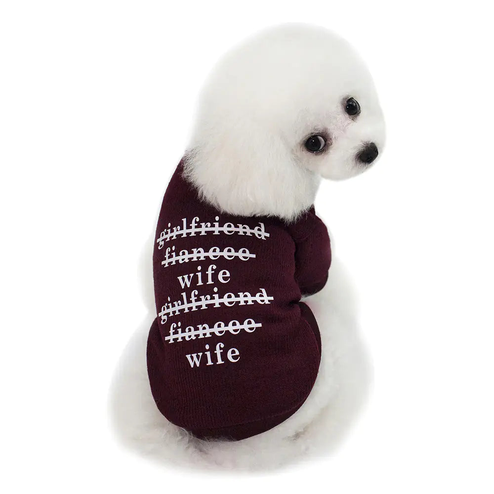 Chic Cardigan Dog Hoodie - Small Breed
