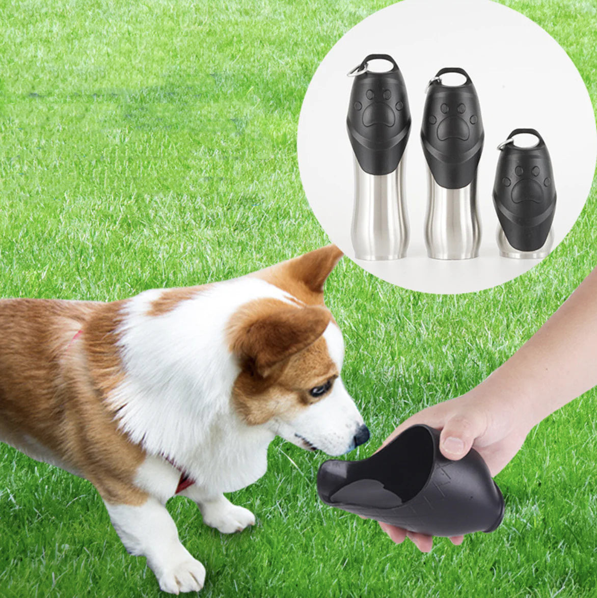 Portable Outdoor Pet Drinking Bottle for Cats and Dogs
