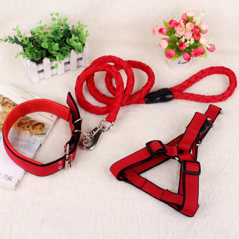 Canine Comfort Trio: Leash, Harness, Collar