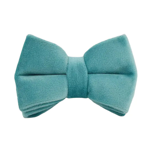 Turquoise Velvet Cat Collar with Bow and Bell